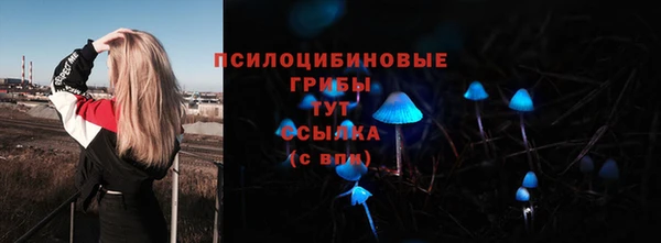 бошки Балахна