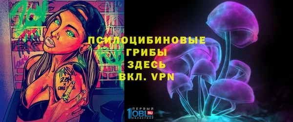 бошки Балахна
